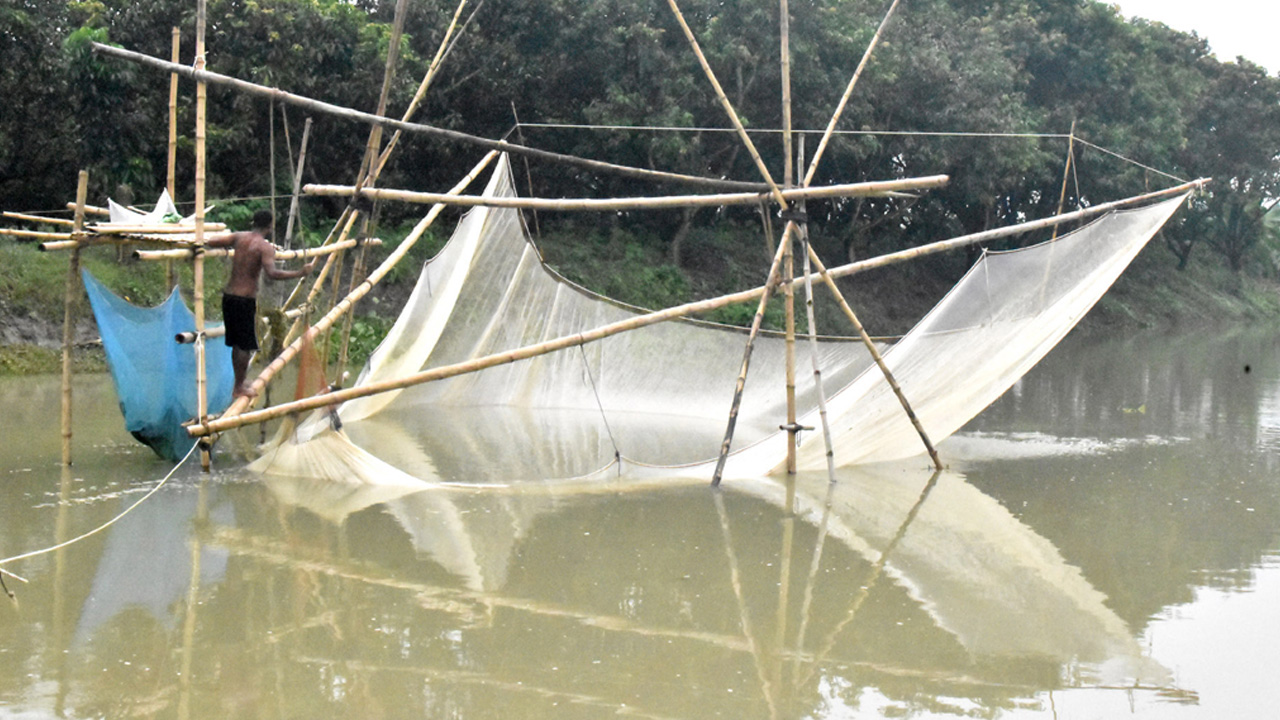 বৃষ্টির পানিতে ভরেছে জলাশয়, নালায় মাছ ধরার ধুম