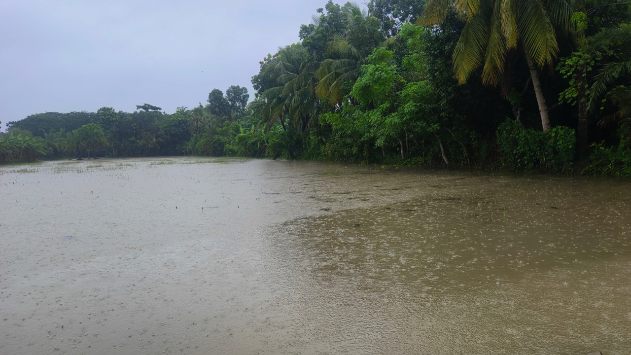 বর্ষায় প্লাবিত সাতক্ষীরার গ্রামীণ প্রকৃতি